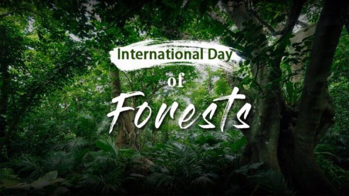 International Forest Day: The Pakistan Forest Stiuation and the PM's message