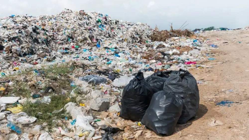 Punjab Government Bans Use of Plastic in Schools