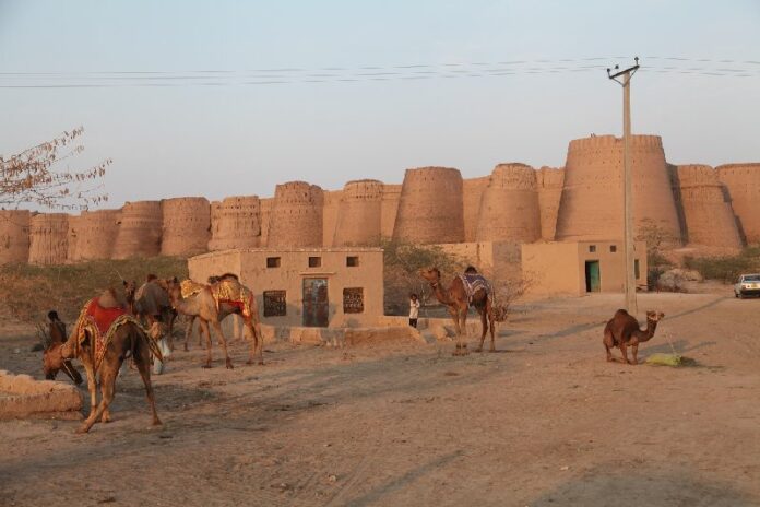 Why is Pakistan's Cholistan Desert a tourism reserve?