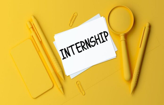 MITACS Globalink Internship 2025