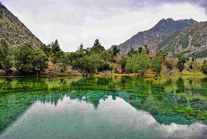 Explore Naltar Valley: A Hidden Gem of Gilgit-Baltistan