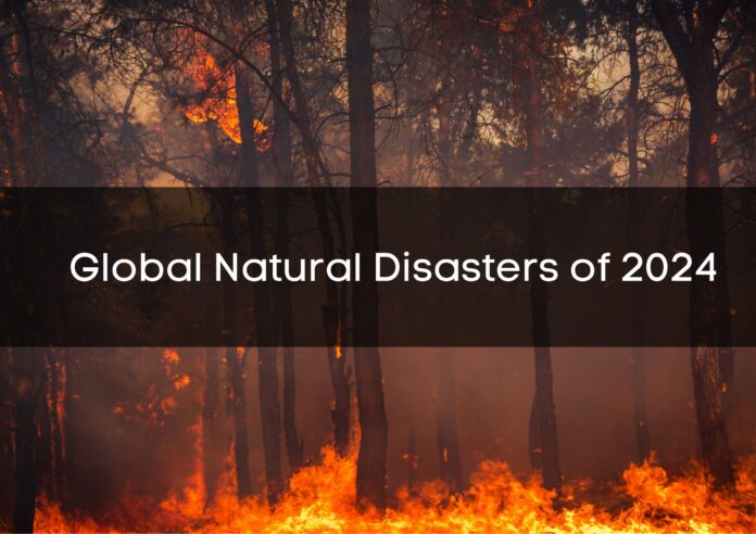 Global Natural Disasters of 2024