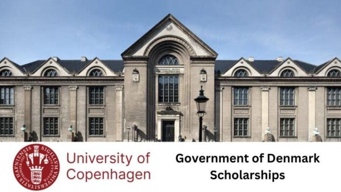 Government of Denmark Scholarship 2025