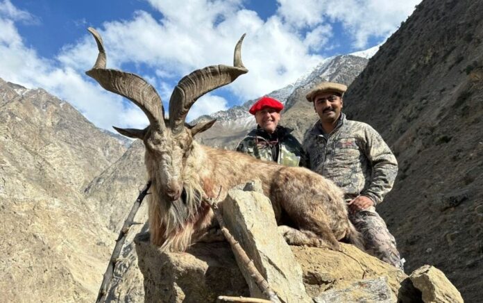 Gilgit-Baltistan Trophy Hunting Program Stumbles Amid Controversial Auction and Direct Dealings