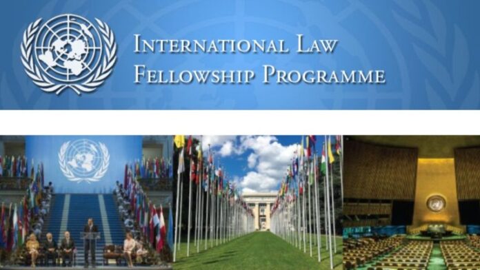 United Nations Fellowship Program