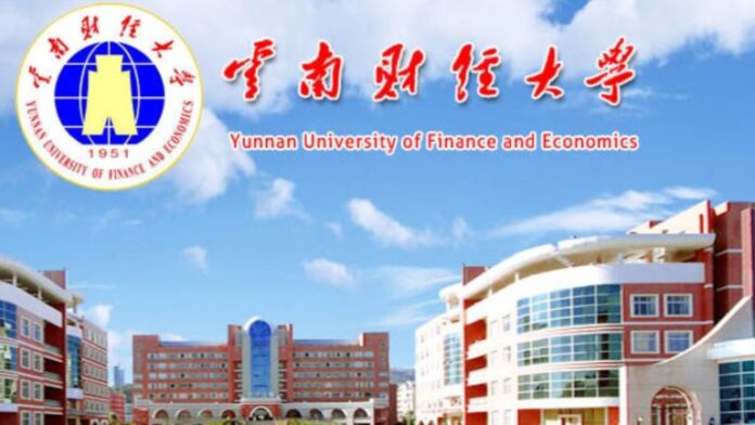 University of Finance and Economics Scholarship