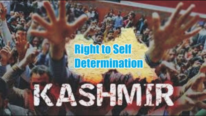 Kashmiris Observe Self-Determination Day