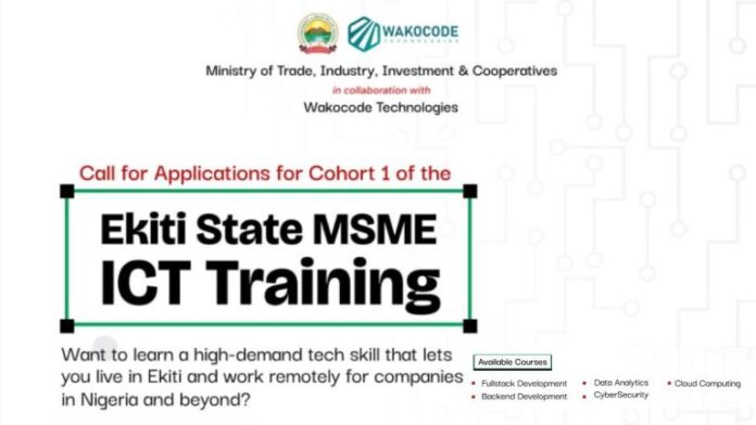 Ekiti State ICT Training For Young Individuals