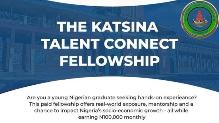 Katsina Government Talent Connect Fellowship