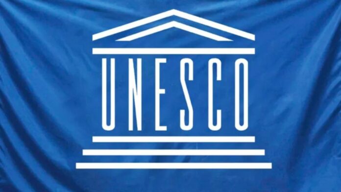 UNESCO Internship Program