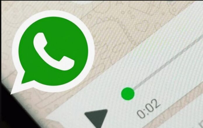 Now Convert WhatsApp Voice Messages to Text Easily