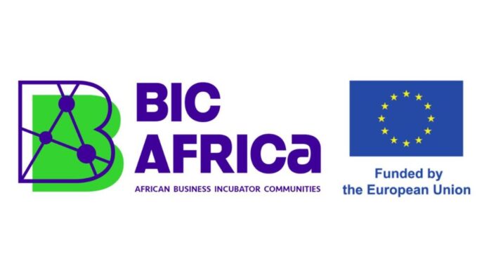 BIC Africa Acceleration Programme