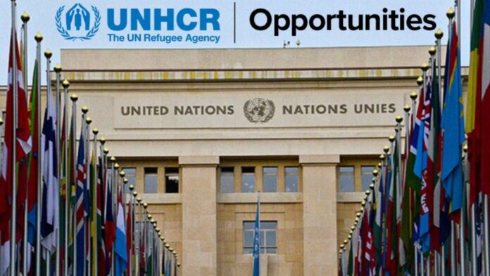 United Nations UNICORE Scholarship