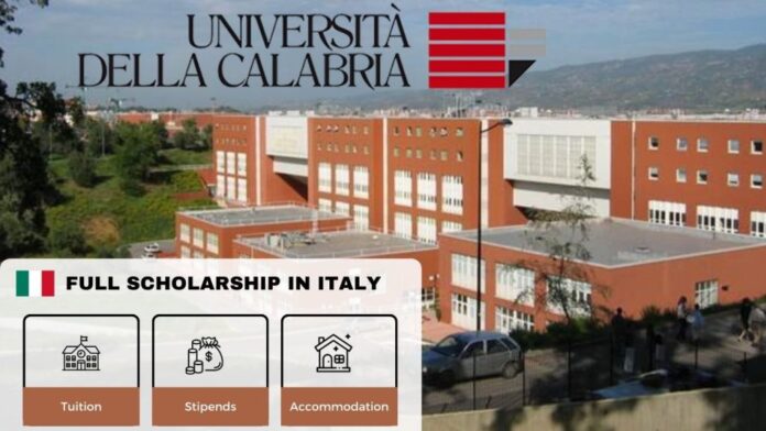 University of Calabria Scholarships