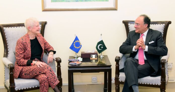 EU Envoy Meets Finance Minister To Boost Pakistan- europe Trade Ties