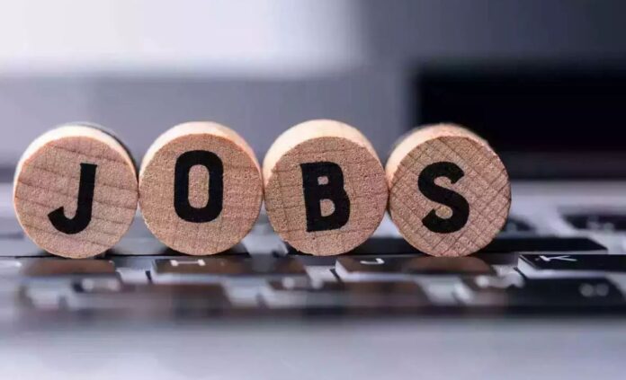 Govt Job Shock: Grades 1–22 at Risk