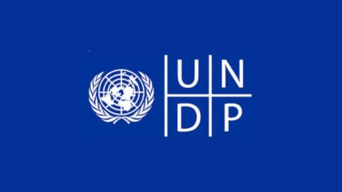 UNDP Digital Transformation Internship 2025