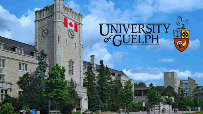 University of Guelph Scholarship in Canada 2025