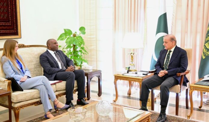 British Foreign Secretary Meets PM Shehbaz Sharif