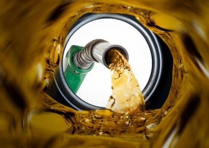 Petrol, Diesel Prices Cut by Rs 2