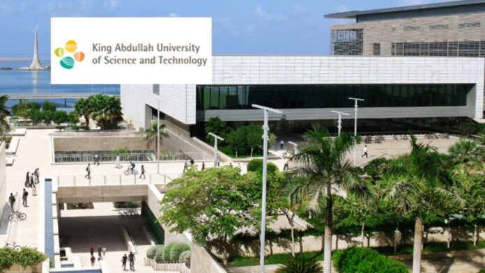 King Abdullah University Internship