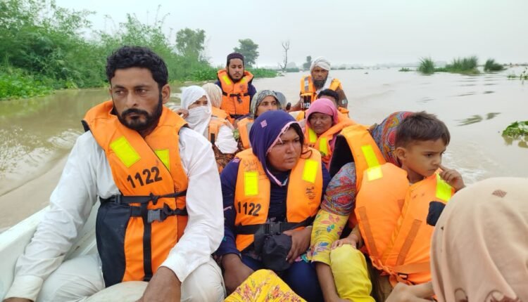 WhatsApp Image 2025-08-27 at 3.41.17 PM (1)