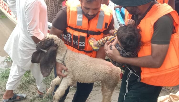 WhatsApp Image 2025-08-27 at 3.41.17 PM (2)