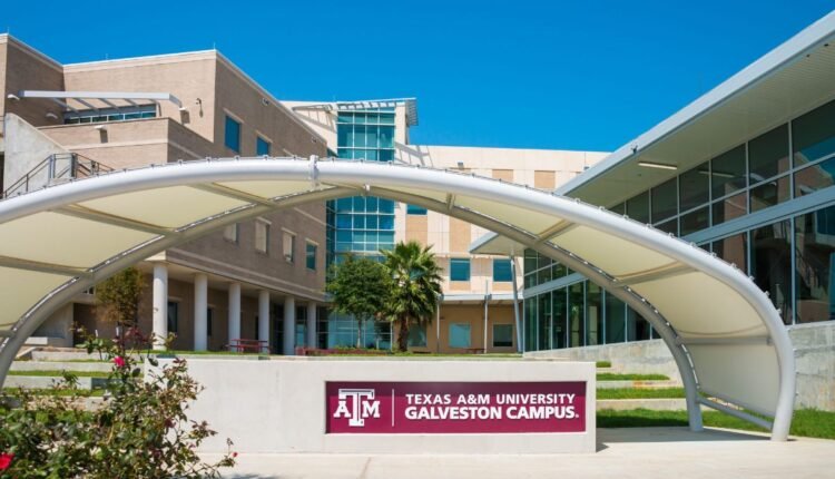 Texas A&M University Chancellor’s Fellowship 2026