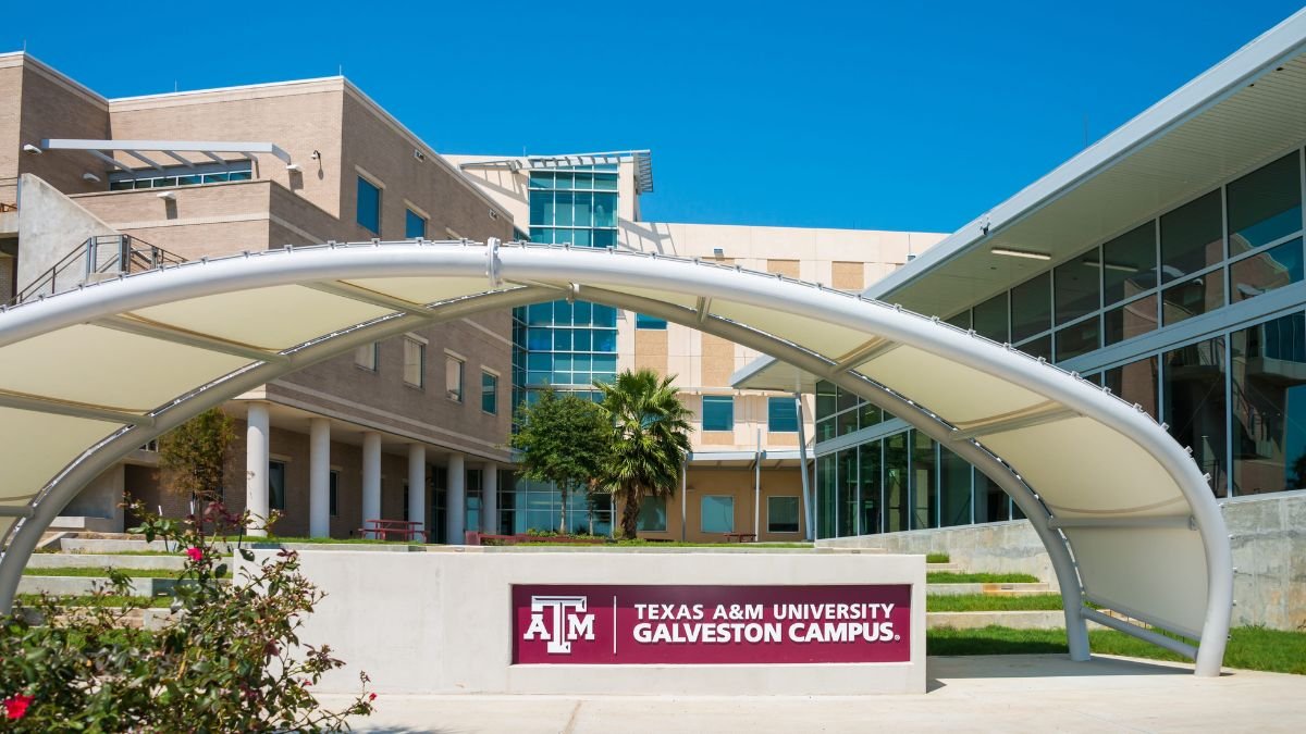 Texas A&M University Chancellor’s Fellowship 2026
