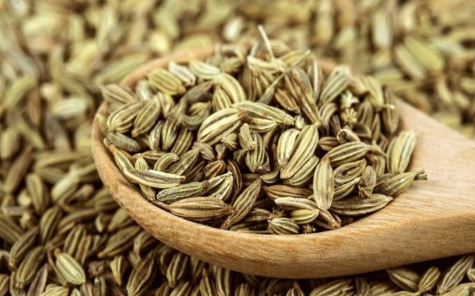 5 Amazing Benefits of Eating Fennel in Winter