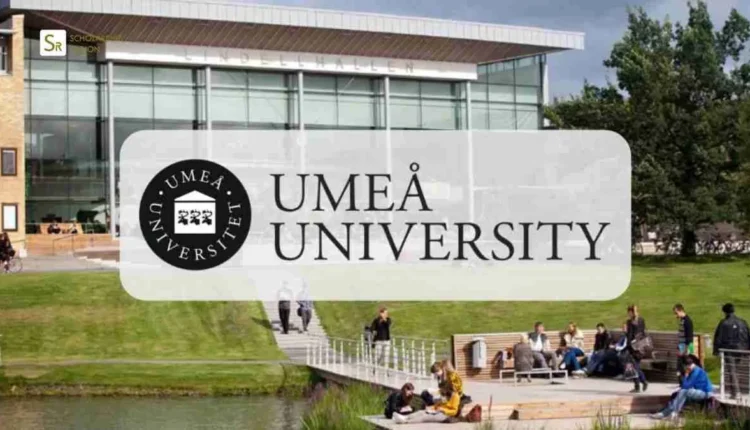 2026 Umea University Scholarship in Sweden